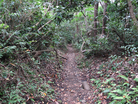 20150924hike (166)